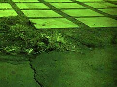 Teen tries outdoor double penetration for the first time.