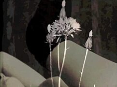 swinging sixties english threesomes in vintage porn, so wild! 😍