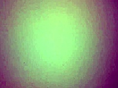 Bold Colombian Milf Gives Intense Blowjob Spreading Ass