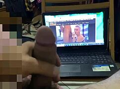 tribute collection for stella still fans