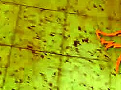 Milf POV Blowjob In Public And Huge Cumshot In The Mouth Dirty Priscilla - Wolfwagnercom