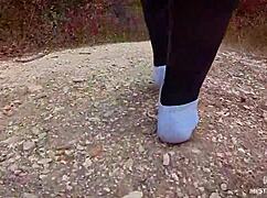 Follow My Footsteps Along The Path In The Evening Lonely Forest