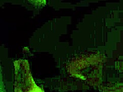 Late night freedom with sloppy adventures in the city