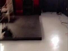 Felicity Feline On Set! S Compilation 1 PG13 With Sexy Outdoor Moments!