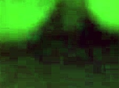 pussy and throat fucked close up