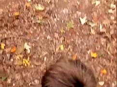 hey babe, wanna give me a blowjob in the forest? ever tried it outdoors?