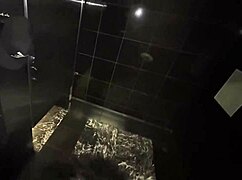 Chris Diamond Blasts My Face with Cum in Public Bathroom