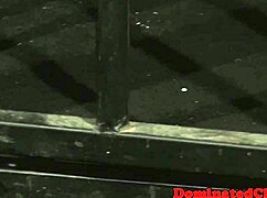 tied sub beauty deepthroats and gets anal punished