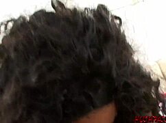 Big ass ebony capre blows studs bbc before hard banging