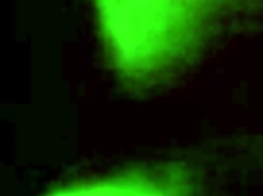 vecina follando en el baño