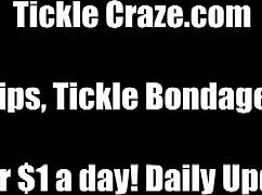 cat’s bound tight for wild bondage and tickling crash course