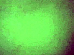 hey babe, wanna see me pound my hot wife on our bed?