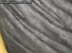 Girlfriend sucks and gets fucked hard 😈