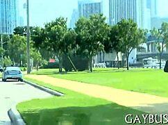 Free Homosexual Sex Videos!