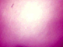 cuarentena con madre soltera quiere mi leche adentro