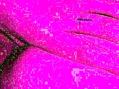 quick doggystyle with tight pussy, bent over.