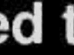 Sharing my homemade latina hardcore collection on twitter 😏