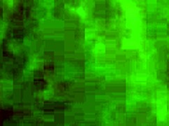 watch these amazing strokes from bbc