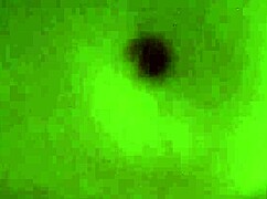 Sung Sướng Trên Ghế Tình Yêu!