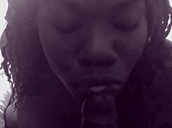 Ebony girl takes big black cock in POV blowjob scene