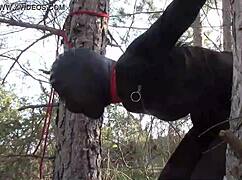 tied up teen 18+ in outdoor bondage scene