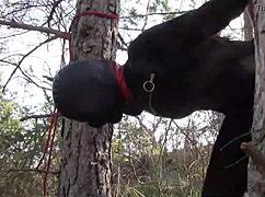 tied up teen 18+ in outdoor bondage scene