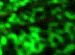 Stripper Girl Fucking And Sucking Filmed With Hidden Camera