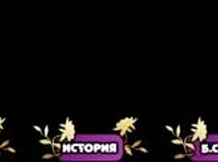 Complete Gameplay of Pale Carnations Part 16