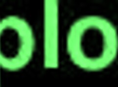 Perrita La Quiere Toda Bien Dura En Pussy Action