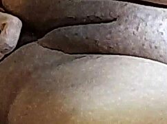 Naughty Brazilian couple explores wild anal and blowjob antics in pt 9