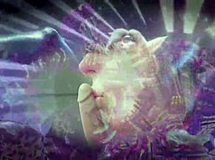 Anime Hentai Action for Straight Boys and Curious Minds Alike in Wild Scenes.