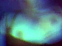 How Good They Fucked Me in Cabins, Ended Full of Cum