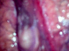 my big butterfly friend