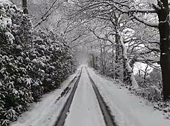 The Chick with a Large Ass Receives a Surprise Package