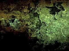 vintage erotic drawings