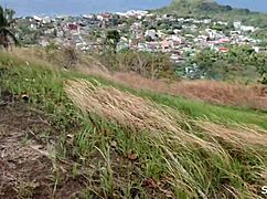 Yo, abnormal sexual stuff in ocean and mountain with huge cock! 🌊