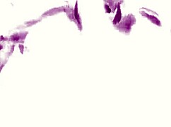 Uncensored Drakengard 3 harem simulator with sad girl orgasms