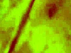 Lingam Massage From The Orient Arousing Each Other Sensually