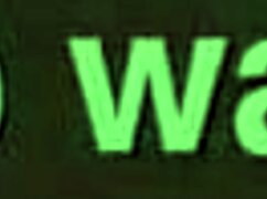 fucking my big booty lightskin ex