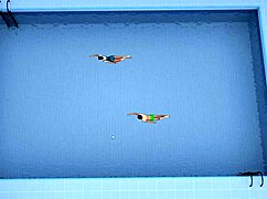 Check out milfy city gameplay with blowjobs and fucking.