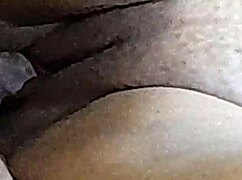 brazilian couple enjoys assfucking and blowjob with big nipples