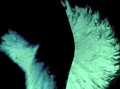 Vintage TABOO PUSSY Play with Hairy Outdoor DOGGYSTYLE Action