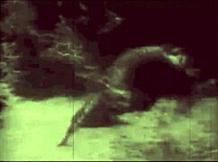 Vintage TABOO PUSSY Play with Hairy Outdoor DOGGYSTYLE Action
