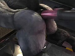 Hey, have you tried this H0rs3 fucking machine compilation yet?