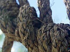 Curvy blonde teen posing with big tits for playboy