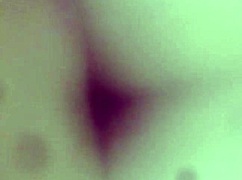 I Fuck My Wife, a Big-Ass MILF with a Monster Cock