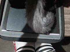 naughty schoolgirl uses buttplug on hairy pussy!