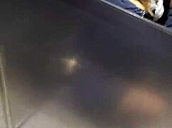 I take Teresa to the mall and she gives me a blowjob in the parking lot while cars pass 😈