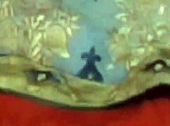 इंडियन देसी कपल घर पर हॉट सेक्स का मजा लेता है वीडियो