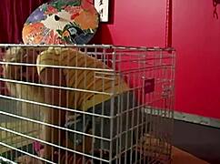 scott rhodes dominates maxine x with intense sucking and buttplug play in the babysitter scene